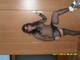 Foto privada de SexyMyky30