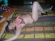 piccolina 87