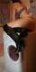 Foto privada de engyengy44