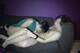 Foto privada de FetishKitten
