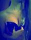 Foto privada de lolita_babygirl