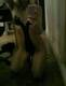 Foto privada de maeva-