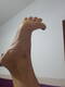 piedino