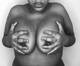 Latteria brazil