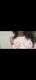 Foto privada de Lola_Lolita
