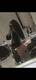 Foto privada de Lola_Lolita