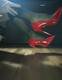 Foto privada de Ariel_Rouge