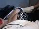 Foto privada de SweetMariaHelena