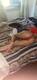 Foto privada de xxxdiabla666