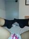 Foto privada de PiediniCameliA-_-