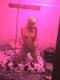 Foto privada de hOTsExY_SeLeN23