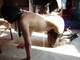 Foto privada de aichaslave