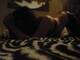 Foto privada de -HotCosplay-