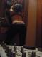 Foto privada de -HotCosplay-