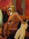Foto privada de -HotCosplay-