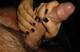 Foto privada de pollysweet